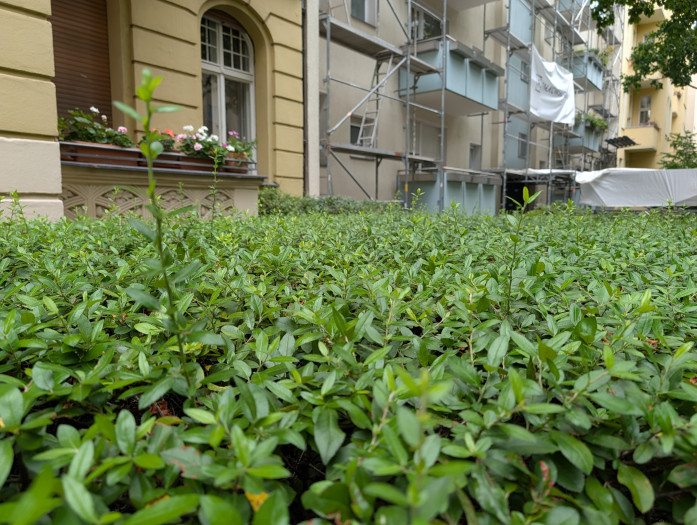 ... als der des Pixel 10 Pro XL. (Bild: Tobias Költzsch/Golem)